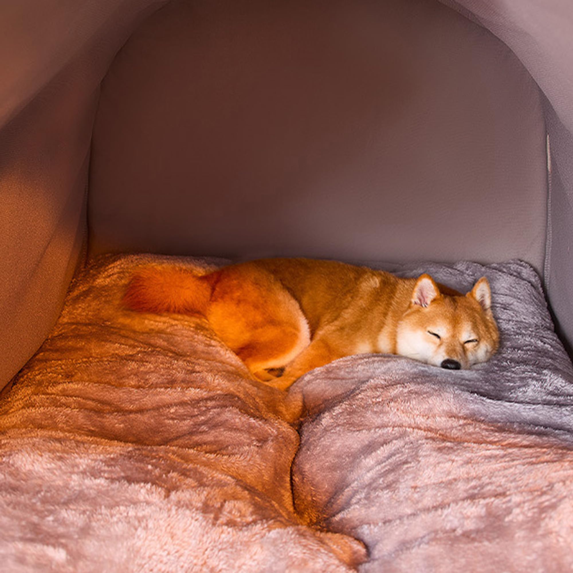 Großes Haustierhaus, gemütliche Hundehöhle mit Griff, rutschfestes Welpenzelt, Katzenhöhle, Bett mit warmem Kissen, faltbar, beruhigendes Haustierbett für große, mittelgroße und kleine Hunde (100 x 70