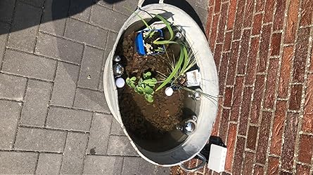 Dekokugel Silberne Schwimmkugeln Teichkugel für Teich Miniteich 6er