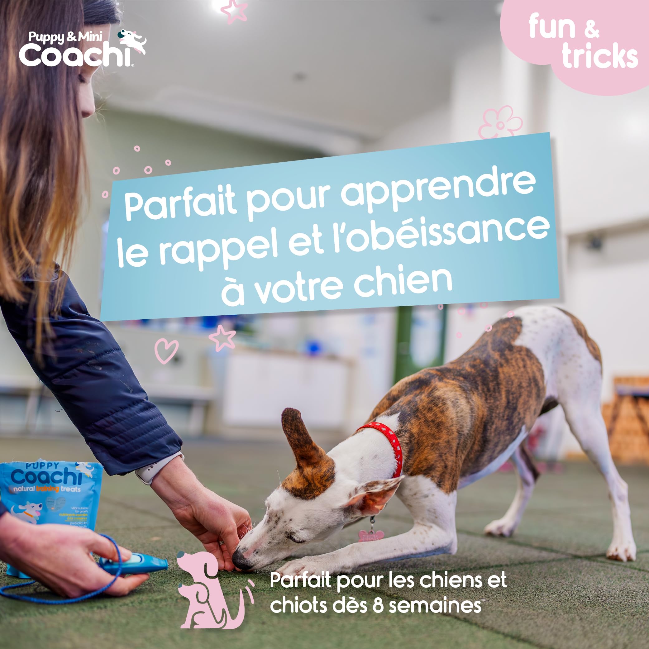 Coachi Whizzclick Sifflet et clicker combinés 2-en-1, sifflet d'éducation pour Chien pour Le Rappel, et clicker pour la récompense, Cordon réglable et réfléchissant, adapté aux Chiens et aux Chiots