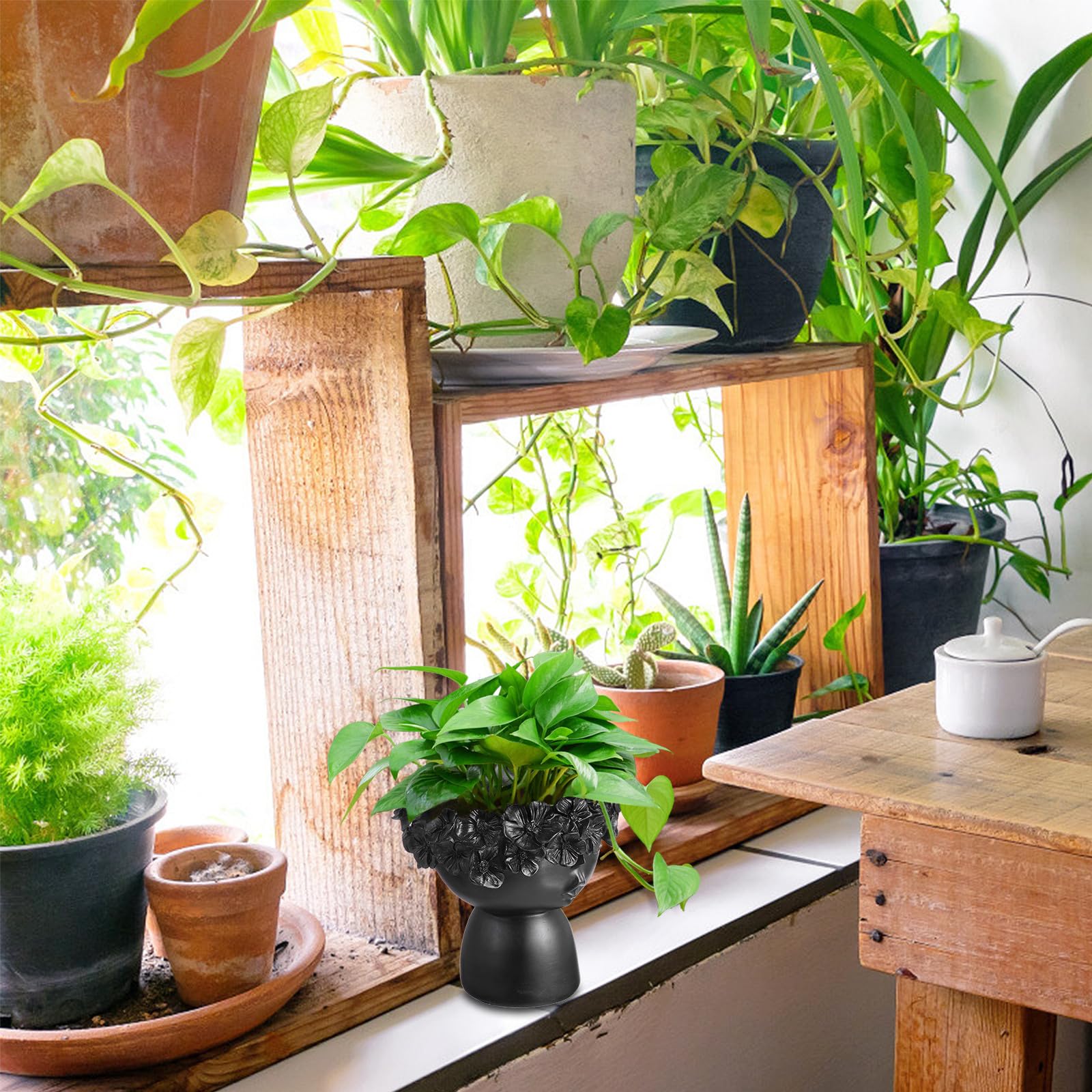 ifundom per in a Forma per Piante Decorazione e e per Composizioni Floreali
