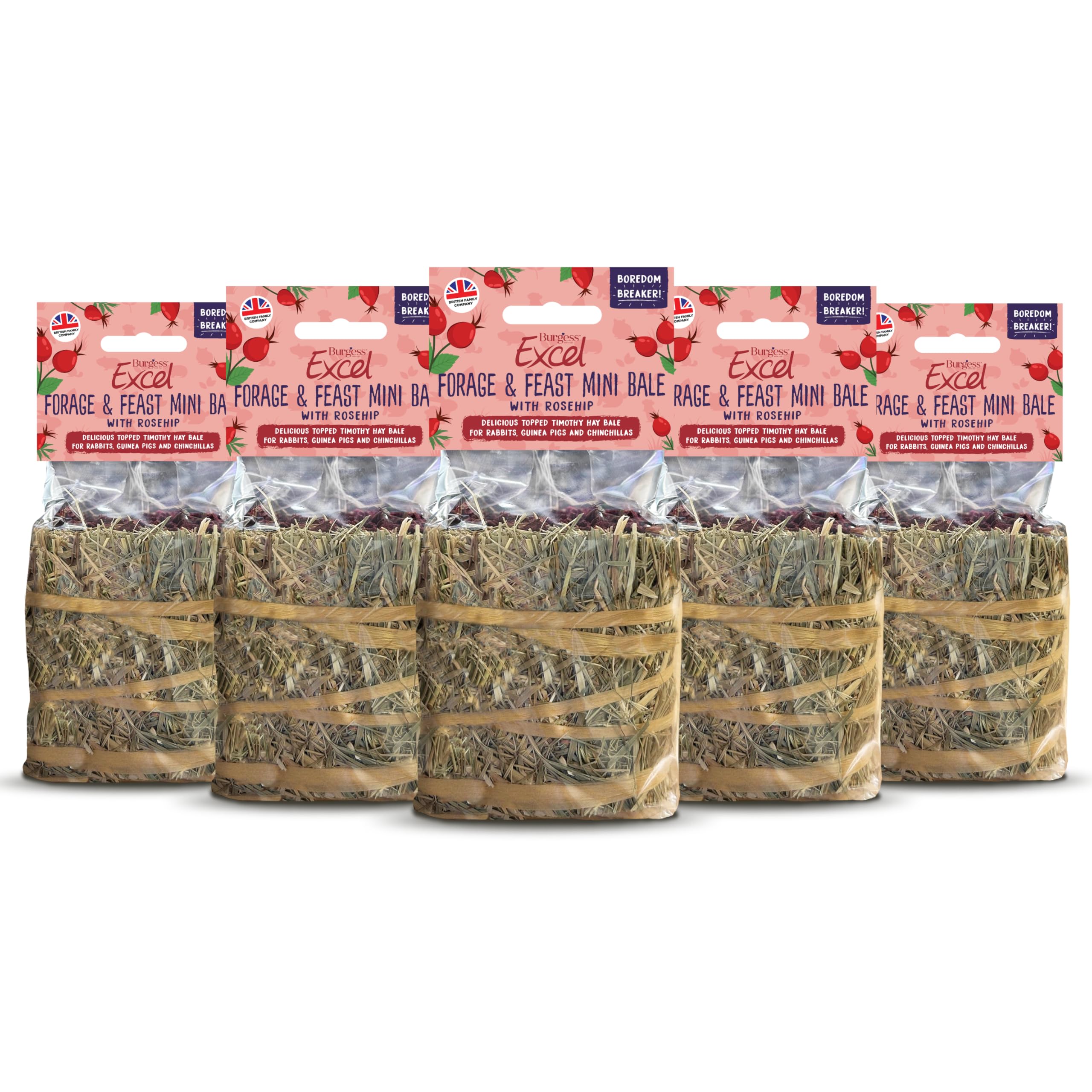 Burgess Excel Forage & Feast Mini Bale with Rosehip, 500g – Mini Hay Bale Treat for Rabbits & Guinea Pigs – Natural Snack Topped with Rosehip (Pack of 5)