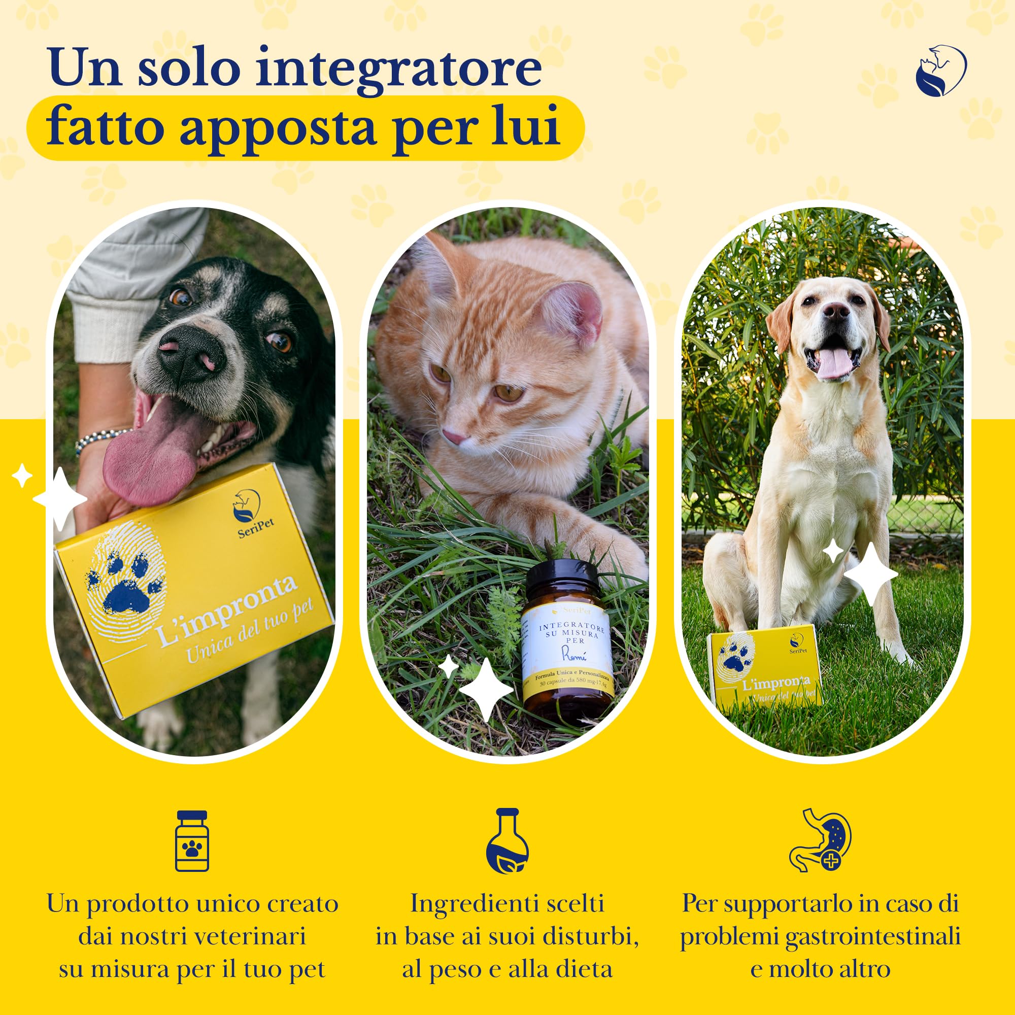 Integratore Disturbi Intestinali Personalizzato per Gatti – Vomito, Diarrea, Colite, Disbiosi o Gastrite – Probiotici e Prebiotici Naturali – 30 Capsule da 580 MG