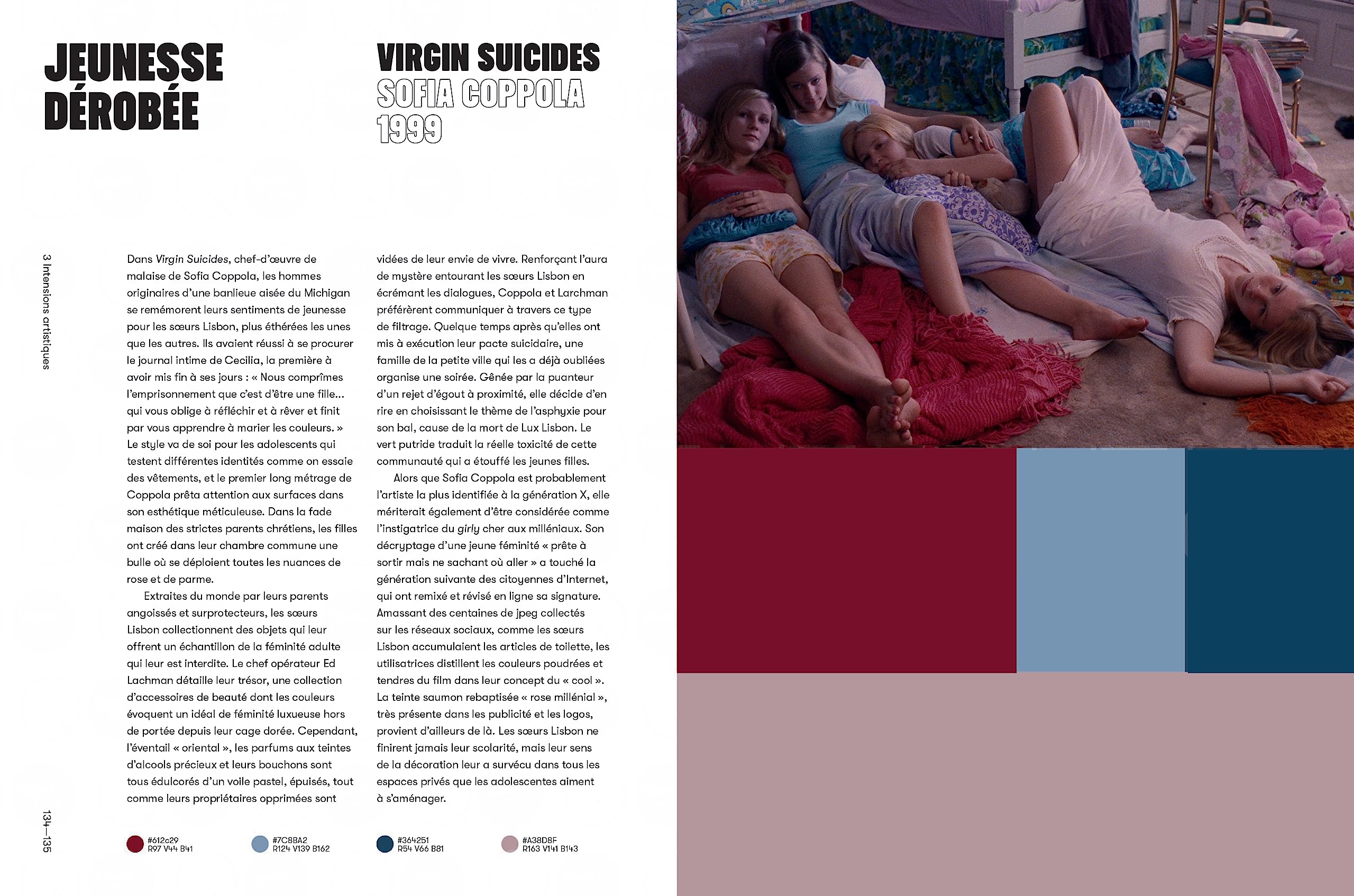 LES COULEURS DU CINEMA - L'HIS