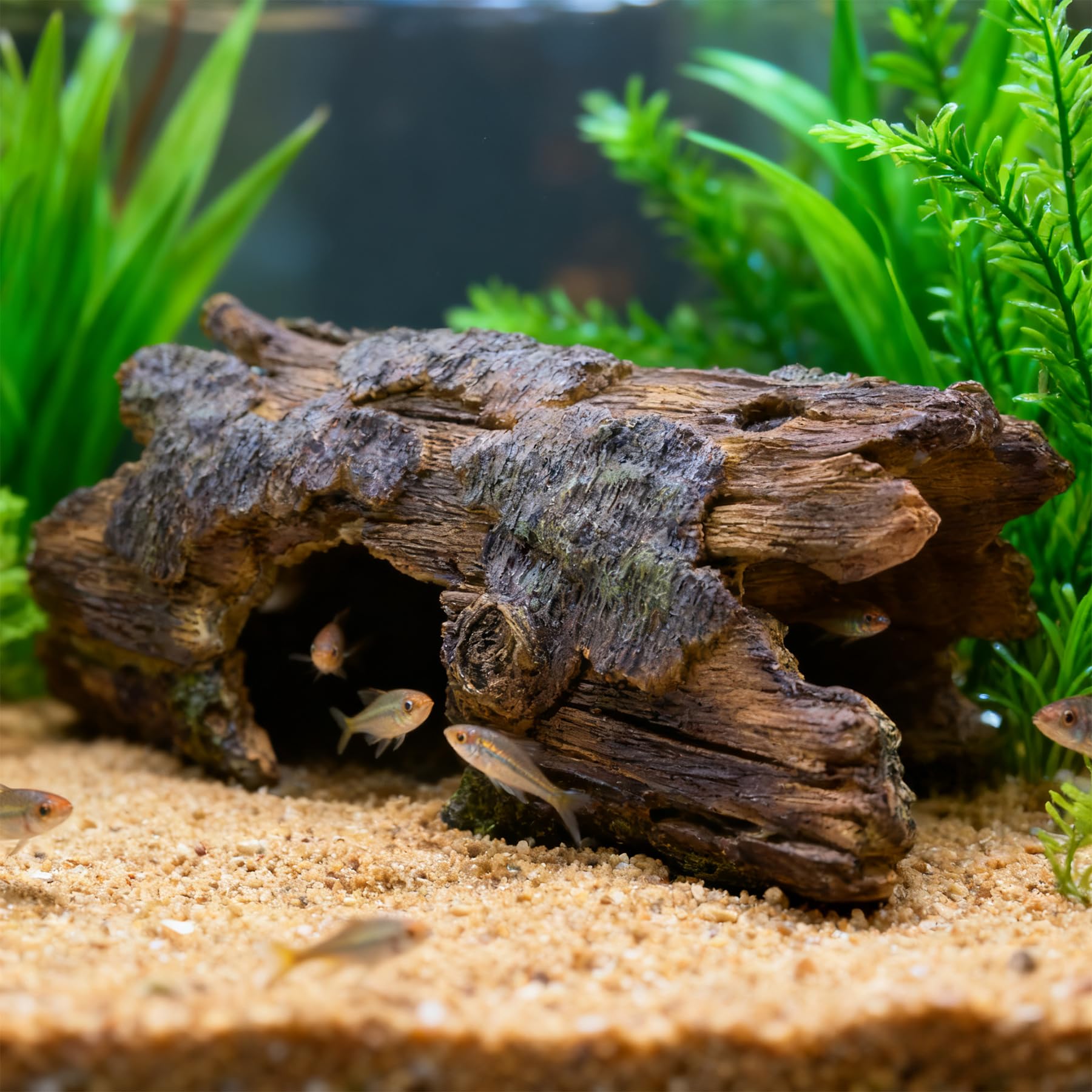 View 8