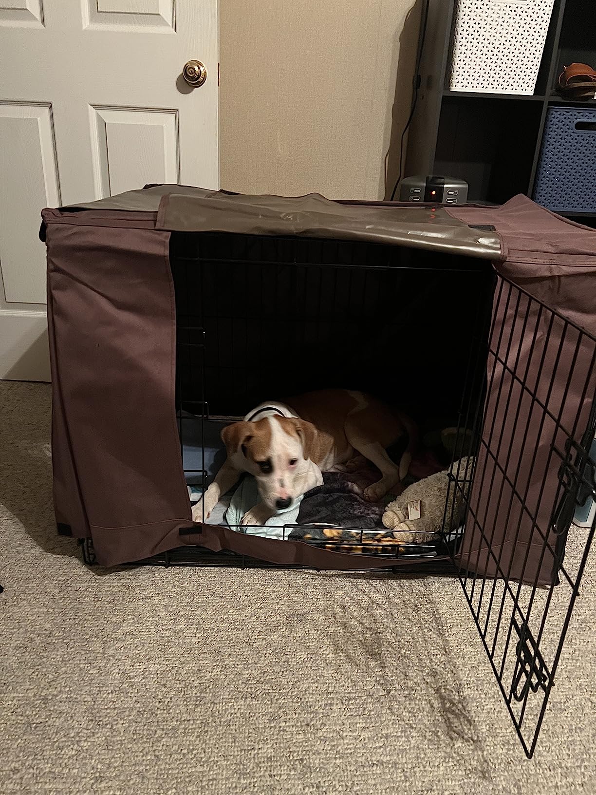Curated visual reference: 18 Mo Finance Donoro Dog Crates Kit For Small Size Photo Inspiration