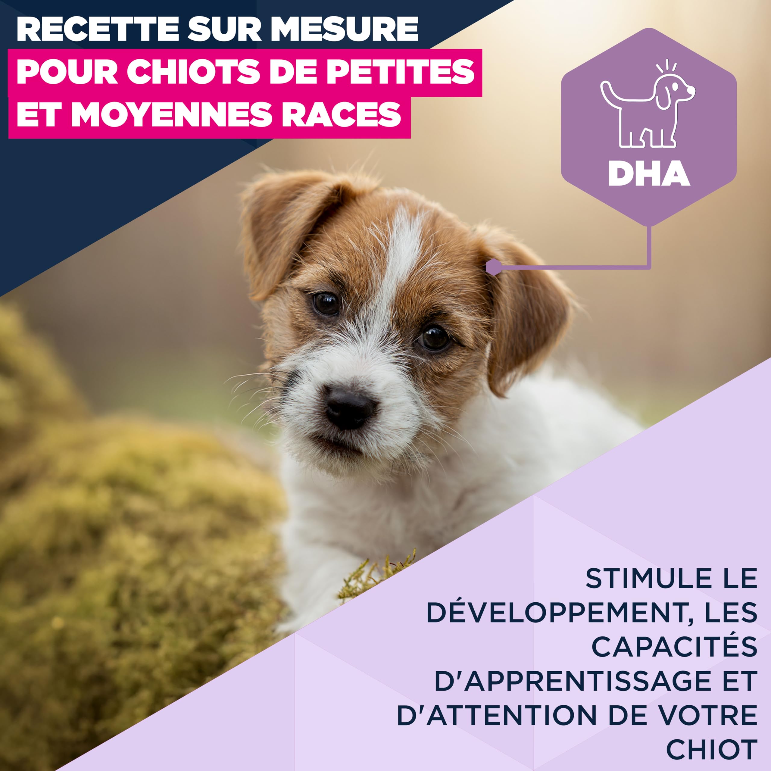 EUKANUBA Life Care Chiot Petite/Moyenne Race Agneau Riz 12 kg