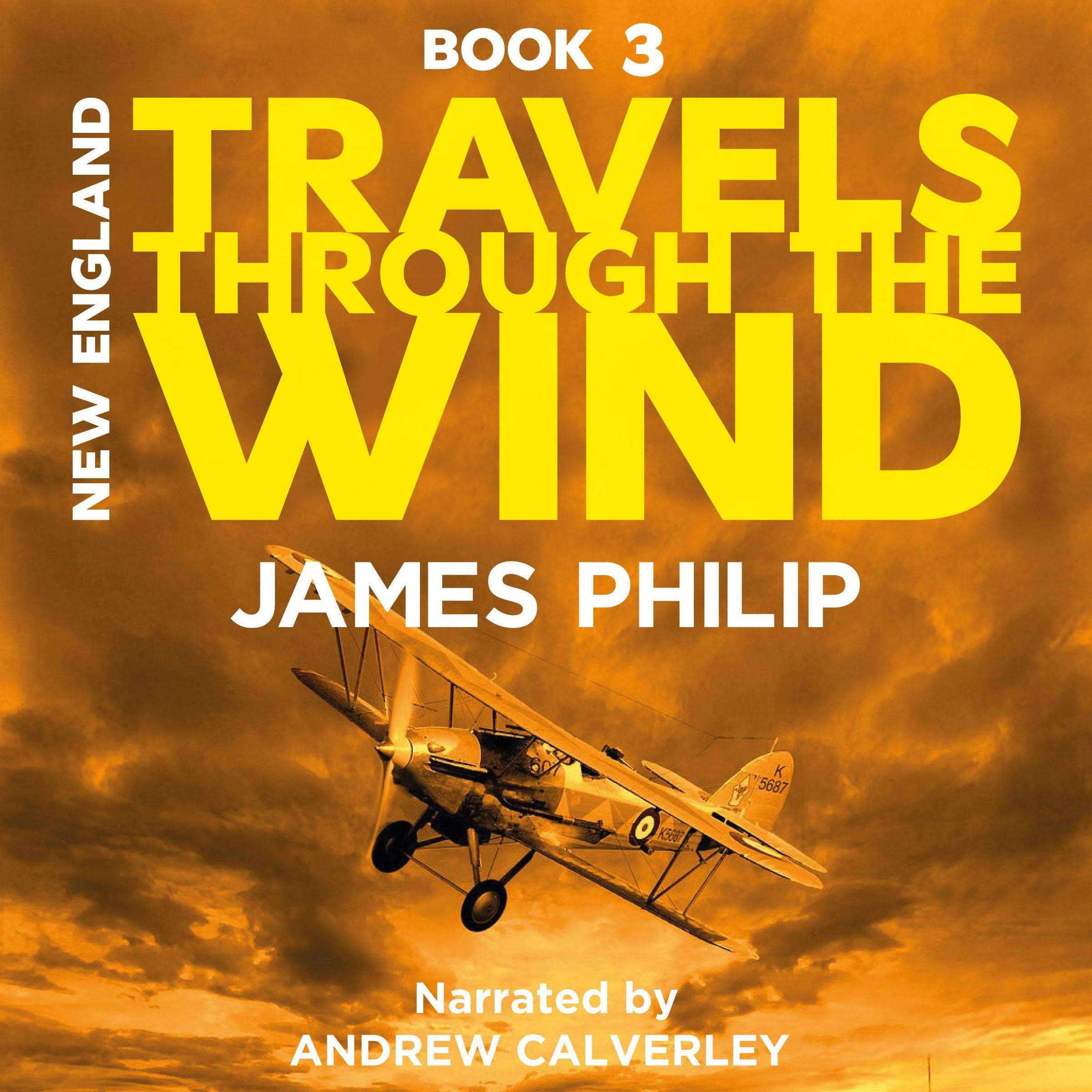 Cover art for Travels Through the Wind