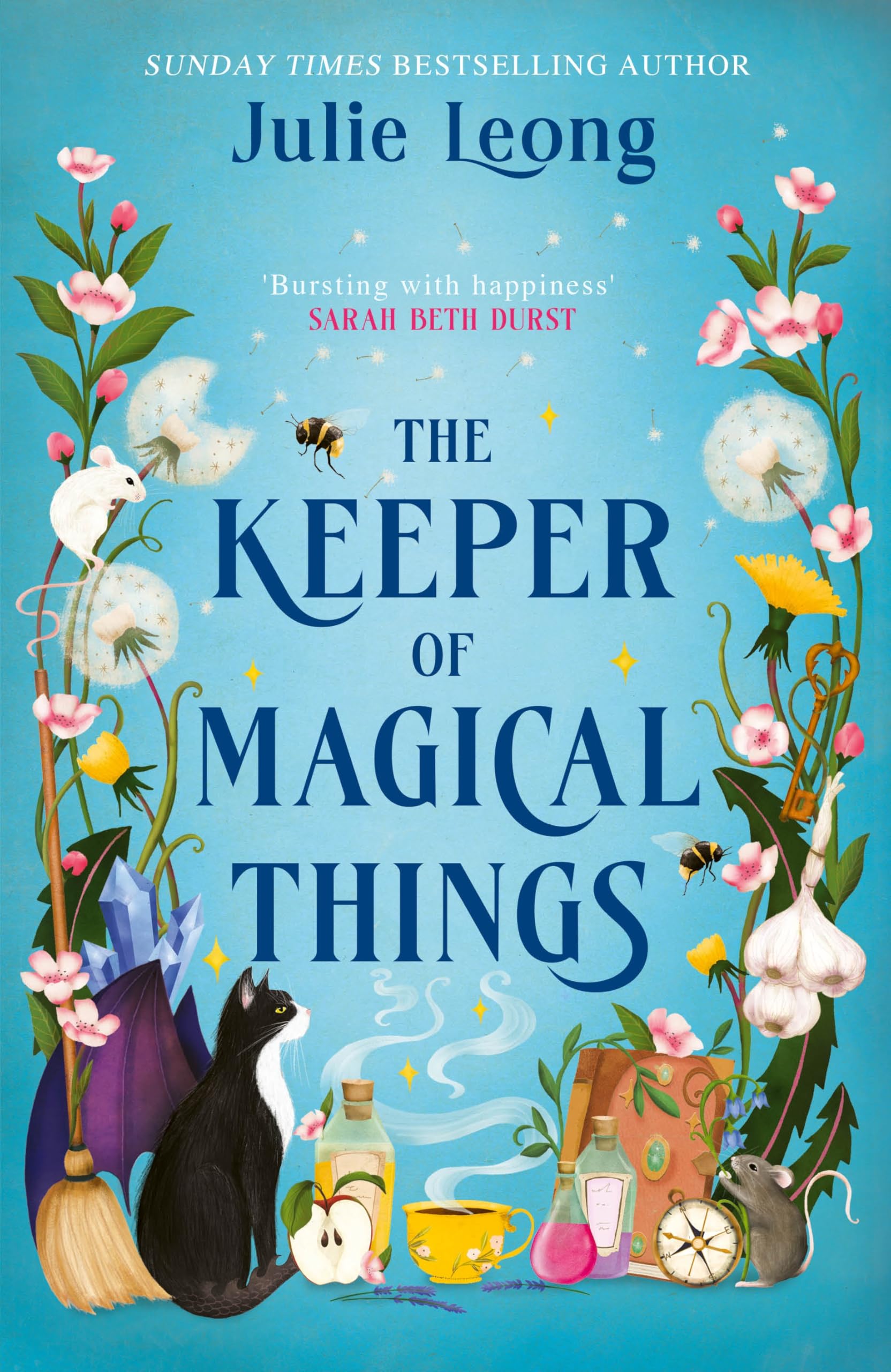 The Keeper of Magical Things by Julie Leong (Hardback Book)