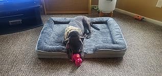 Review Image by Cheyenne Cheyenne