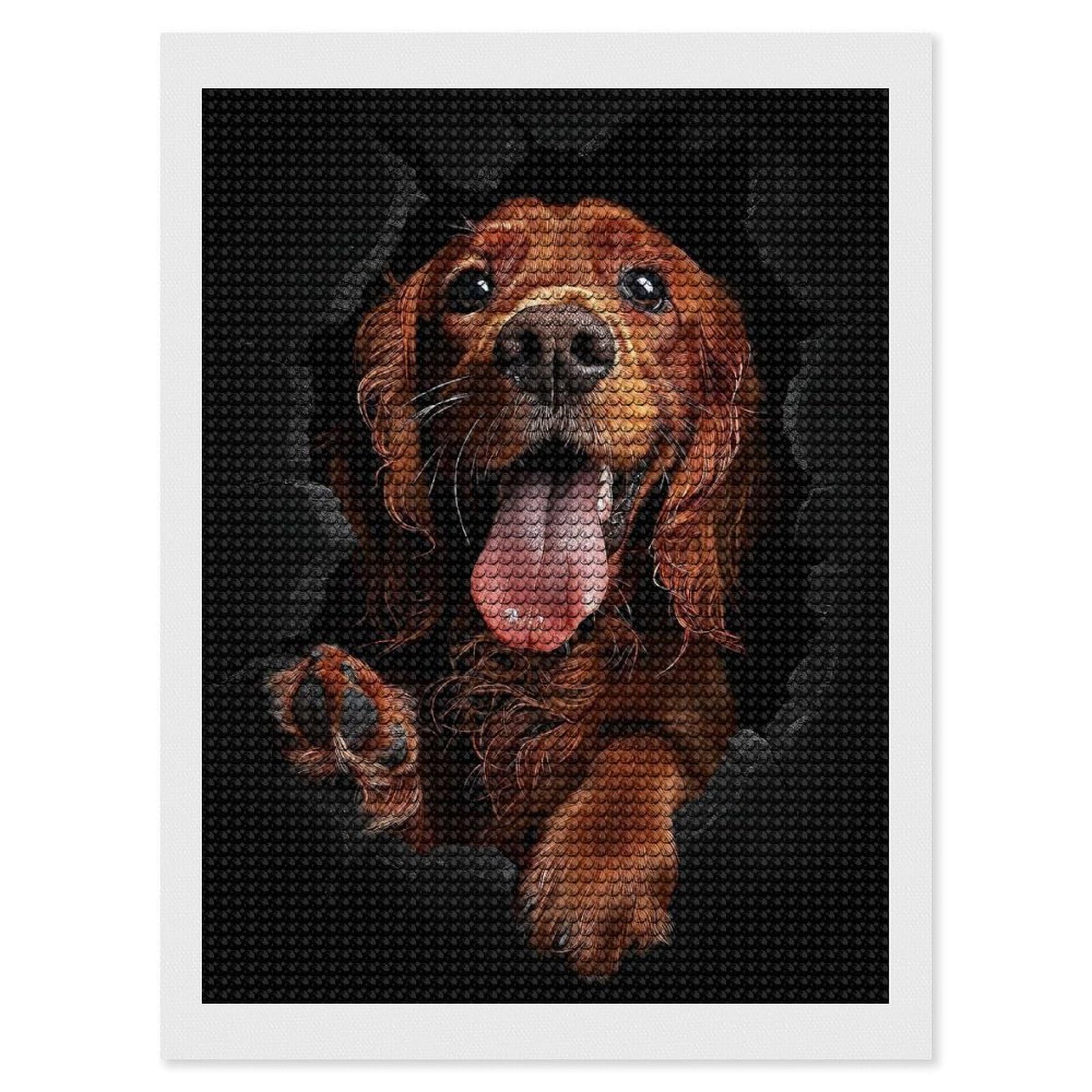 Junmoney Irish Setter 5D Diamond Painting Kit 12"x16", Relaxing DIY, Mindful Craft Project, Full Kit Included, Thoughtful Present