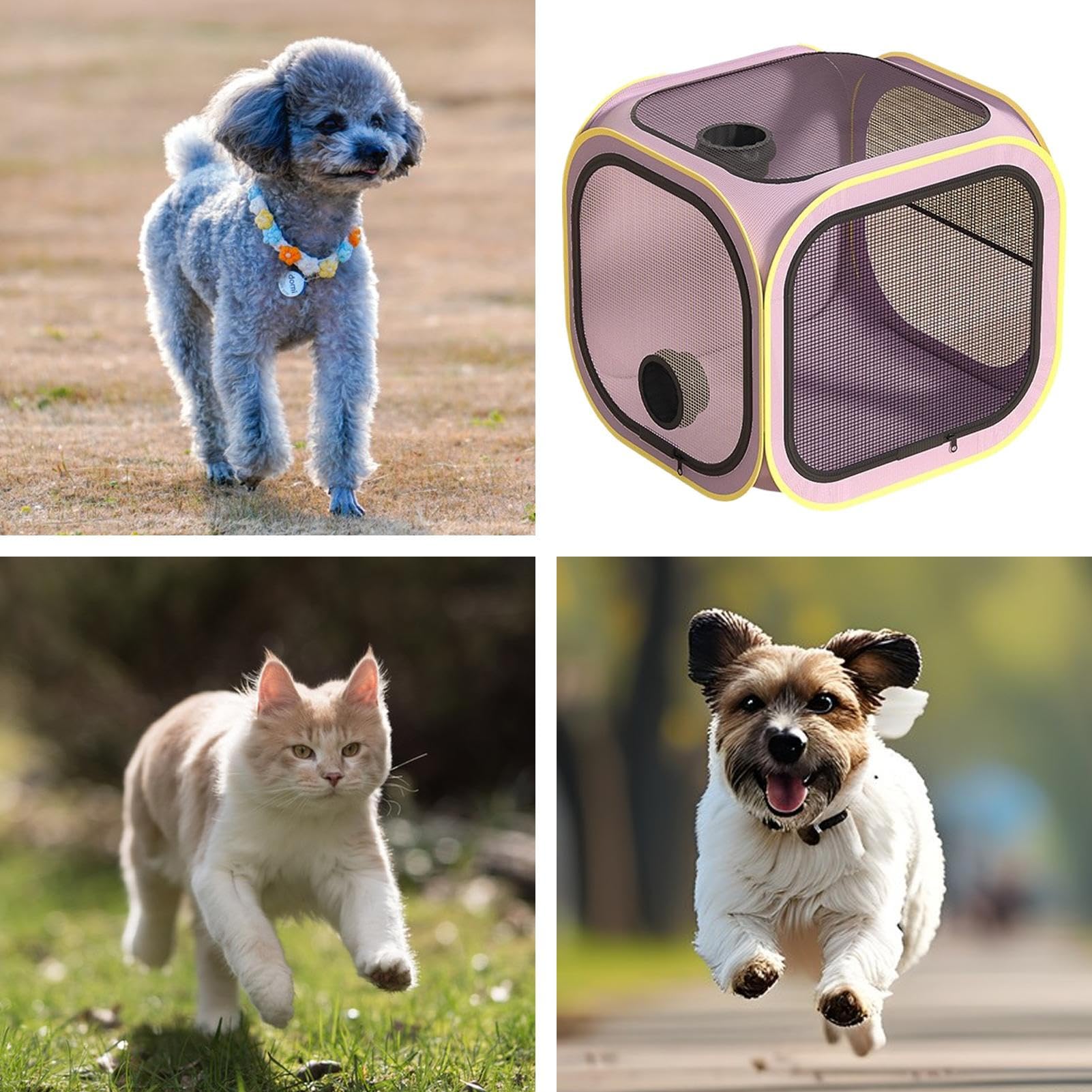 de Secado para Mascotas Jaula de Secado para Perros | secadora para perros para en Casa, Peluquería Canina, Tiendas y Exterior