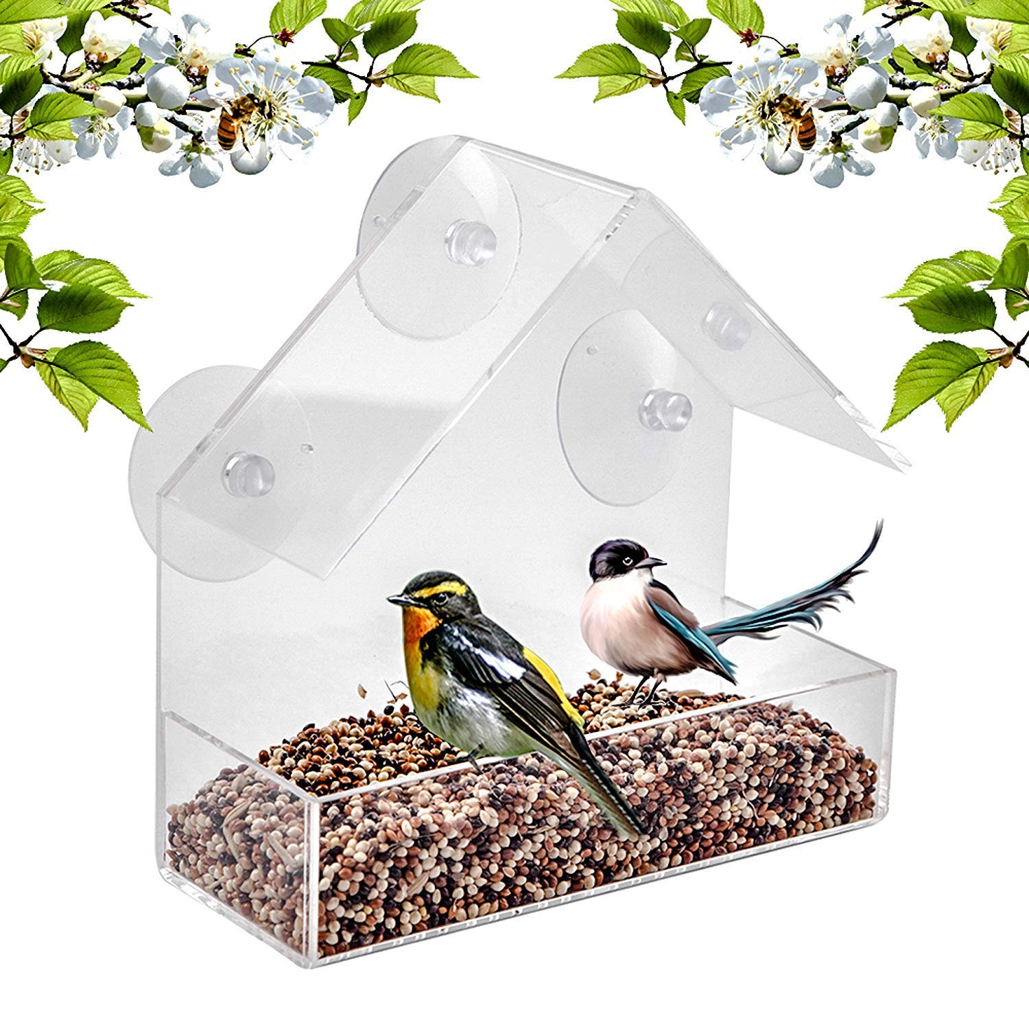 Ossian Window Bird Feeder with Suction Cups Quick and Easy Hanging
