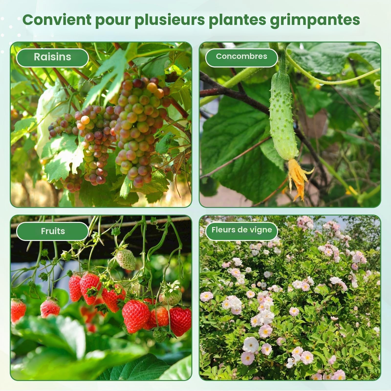 FANTASK Treillis pour Plantes grimpantes - Arche de Jardin de 230 cm avec Structure métallique revêtue de polyéthylène - Arche de Jardin pour légumes, Fruits, Fleurs