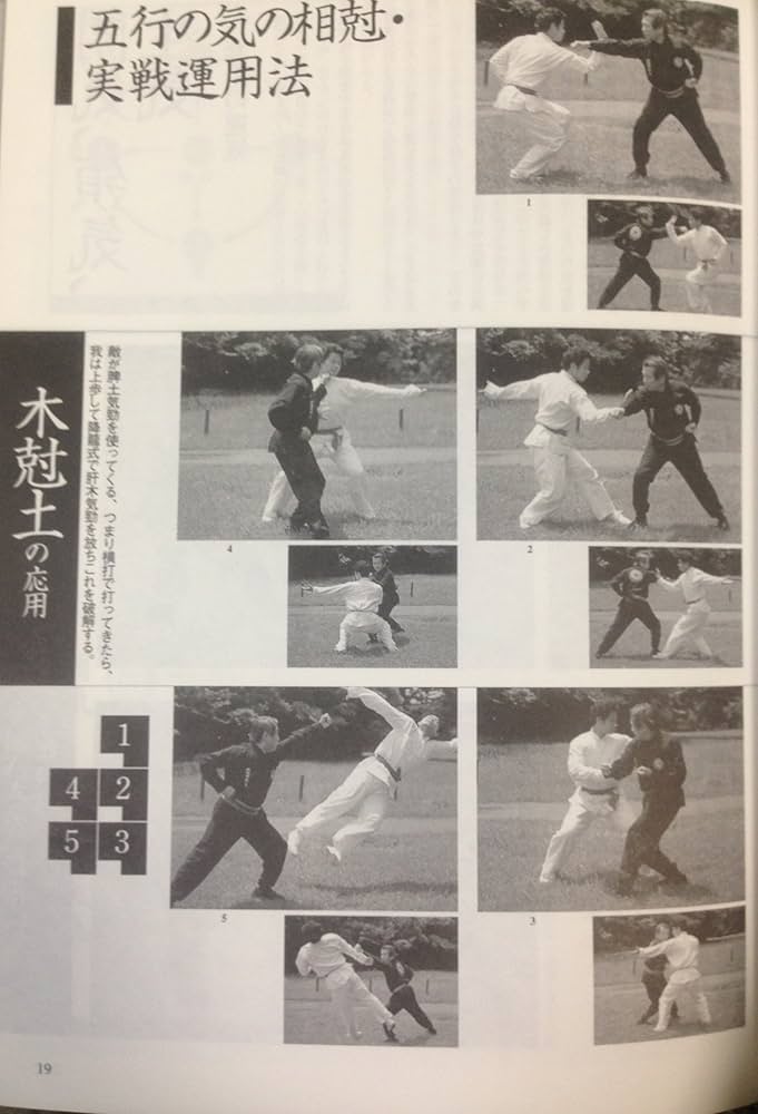 中国武術書籍 図解 中国武術 (F-Files No.022) | 小佐野 淳 |本 | 通販 | Amazon