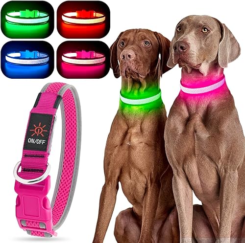 YFbrite Collar de perro iluminado, collar de cachorro con LED recargable por USB, superbrillante, ajustable, luces brillantes para perro para