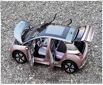 Amazon.com: MZAMOXZ 1 18 for BYD Dolphin 2021 Pure Electric Car