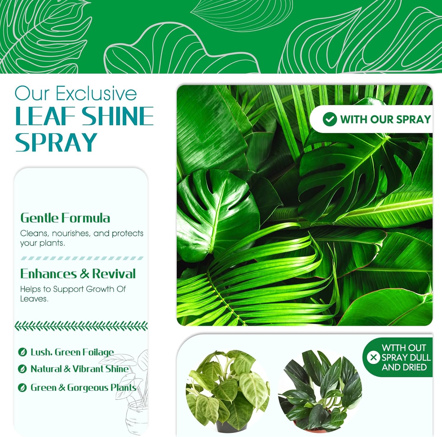 Leaf Shine Spray - Ready-to-Use Gloss & Polish for Indoor Plants, Instant Glow Leaf Cleaner for Indoor Plants, Ideal for Fiddle Leaf Fig, Ficus Audrey, Monstera and More - 16.91 OZ