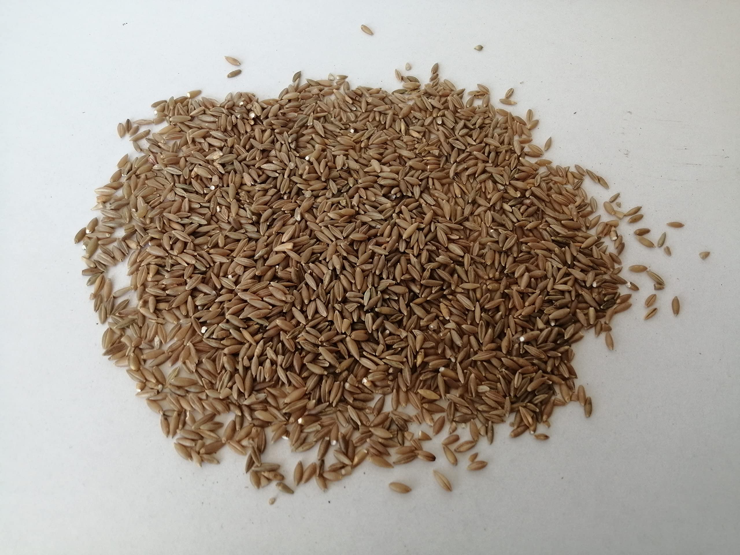 Cholas Bamboo Rice/Moongil Rice/மூங்கில் அரிசி/ 500g 2