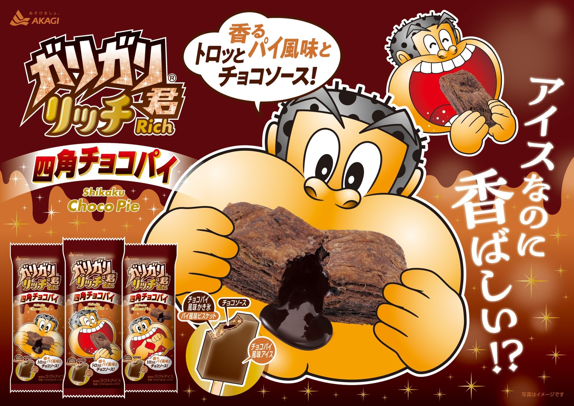 Amazon.co.jp: 赤城乳業 ガリガリ君リッチ 四角チョコパイ100ml×24袋