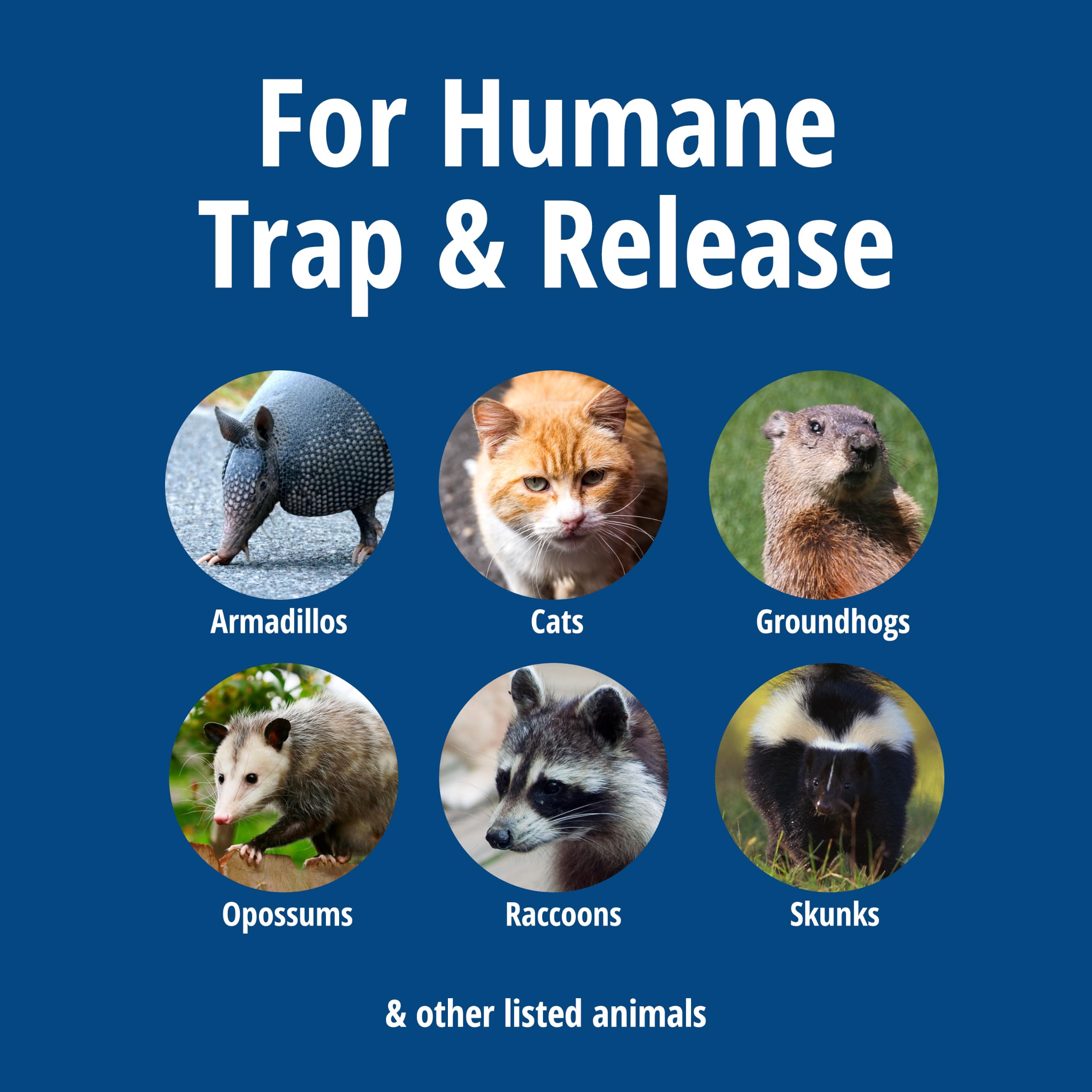 Havahart 1085 Large 1-Door Easy Set Humane Live Animal Trap for Armadillos Cats Groundhogs Muskrats Opossums Raccoons Skunks - Havahart Live Animal Cage Trap product thumbnail 3