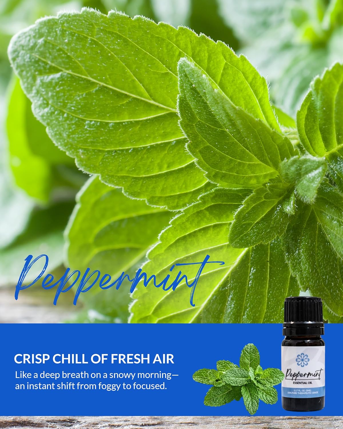 Essence Peppermint Essential Oil – 100% Pure & Therapeutic Grade – Perfect for Aromatherapy, Diffusers & Recharging Essence Nasal Diffuser Rings – Natural Stress & Mood Support (5mL) - Image 5