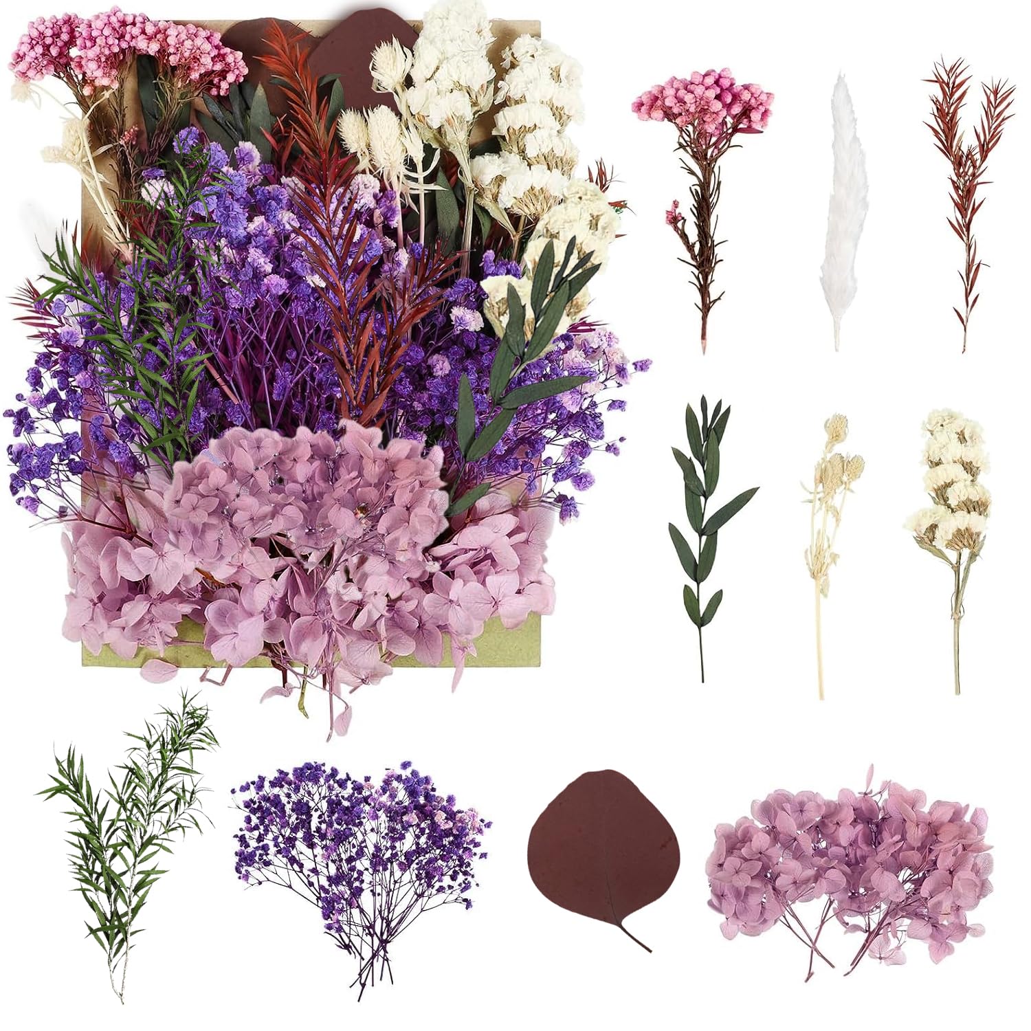 RUGBOL Dried Purple Lavender Flowers for Decoration Dried Flowers, Floral Decoration, Purple, 160 x 200 cm