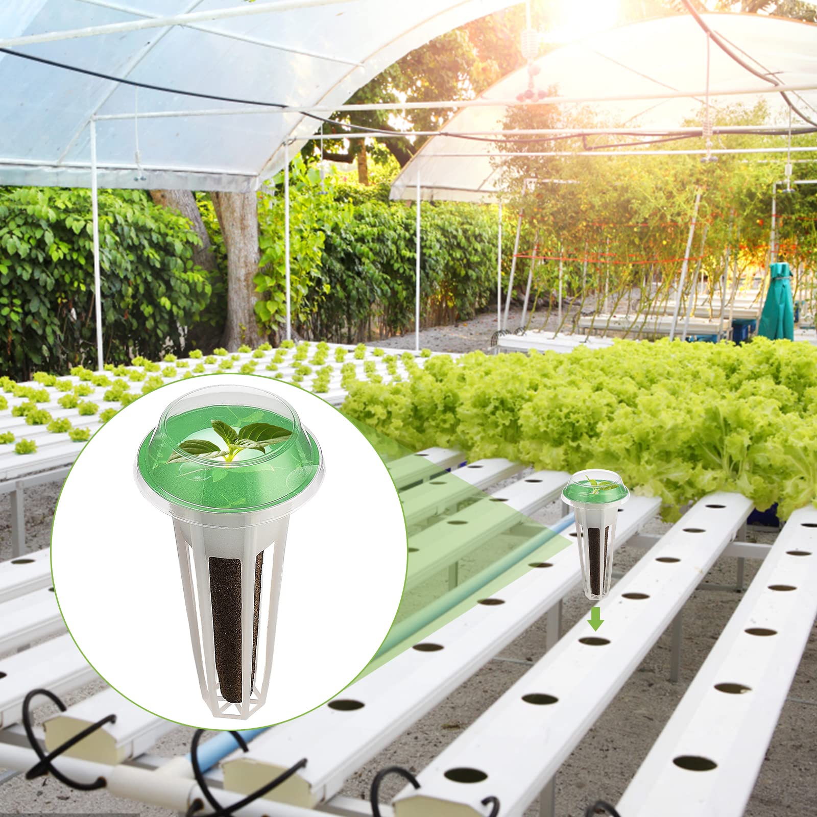 Kit de Cápsulas de Semillas para Aerogarden, Kit de Cultivo para Hidroponía, Kit de Cápsulas de Plantas A&B Fertilización de Plantas Sólidas con Cestas de Cultivo, Esponjas de Cultivo,(12 piezas)