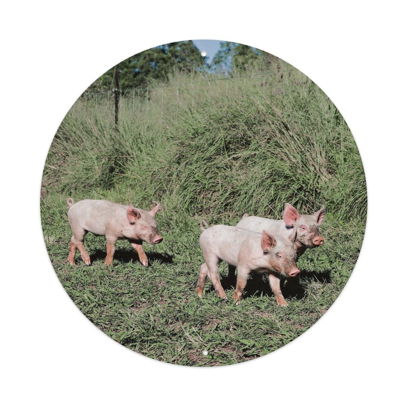 Piggy on The Grass Vintage Metal Tin Sign Plaque Wall Decor for Cafe, Club Bar, Office, Garden Metal Poster 8x8Inch