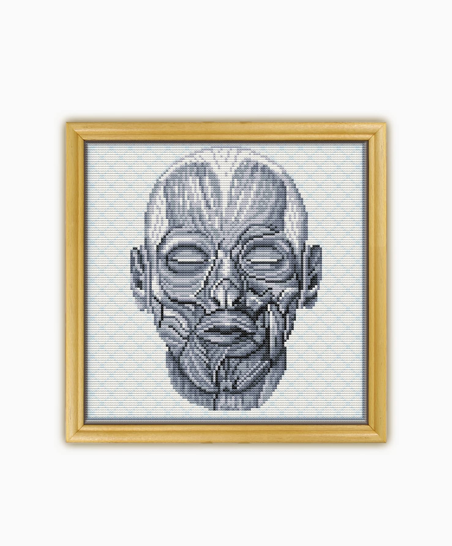 Amazon.com: Facial Muscles The Human Anatomy CS2087-1 - Counted Cross ...