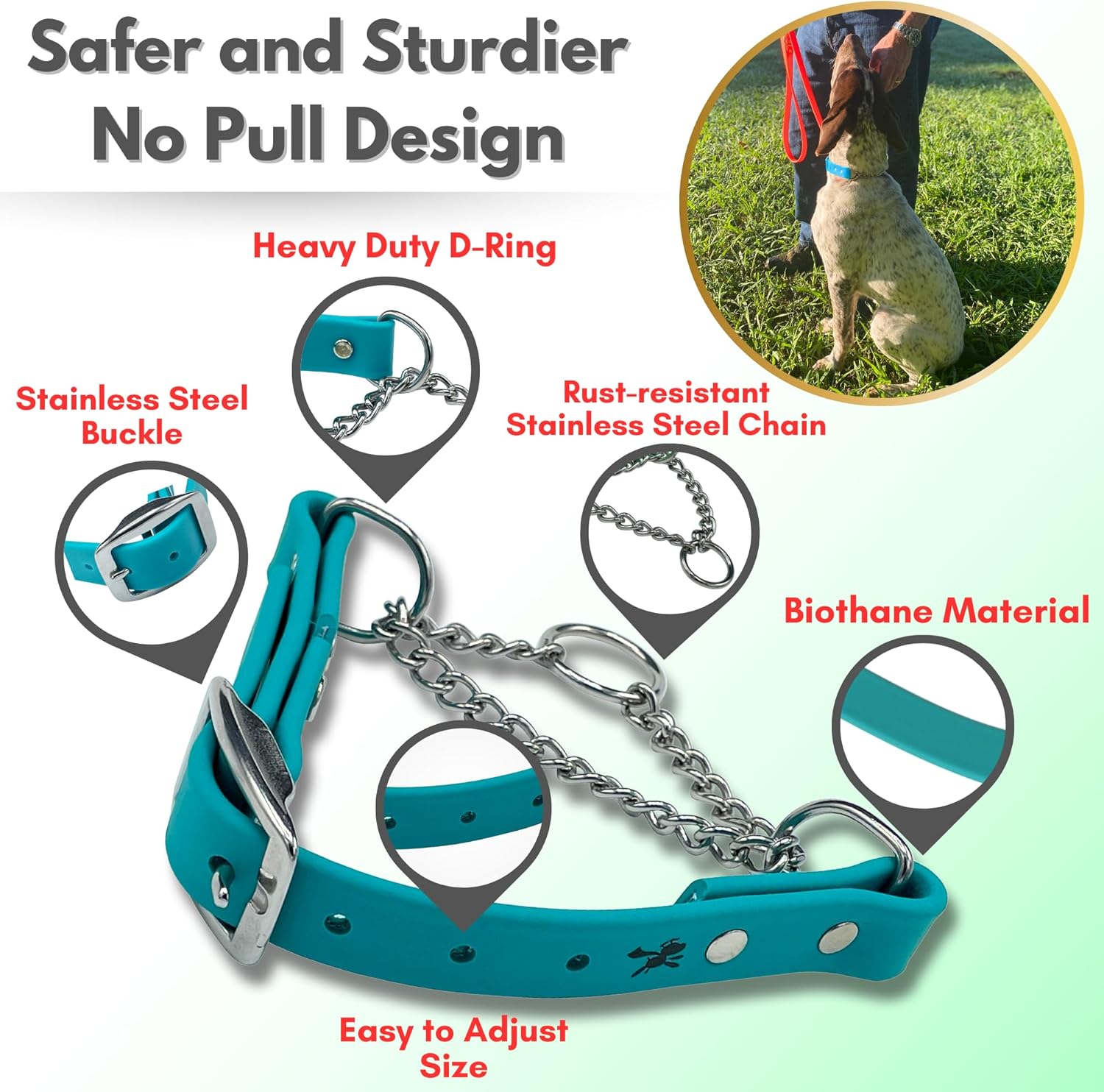 Martingale Collar for Dogs, Biothane, Stainless Steel Hardware, No Pull, Made in The USA, Professional Grade, Extra Large, Teal