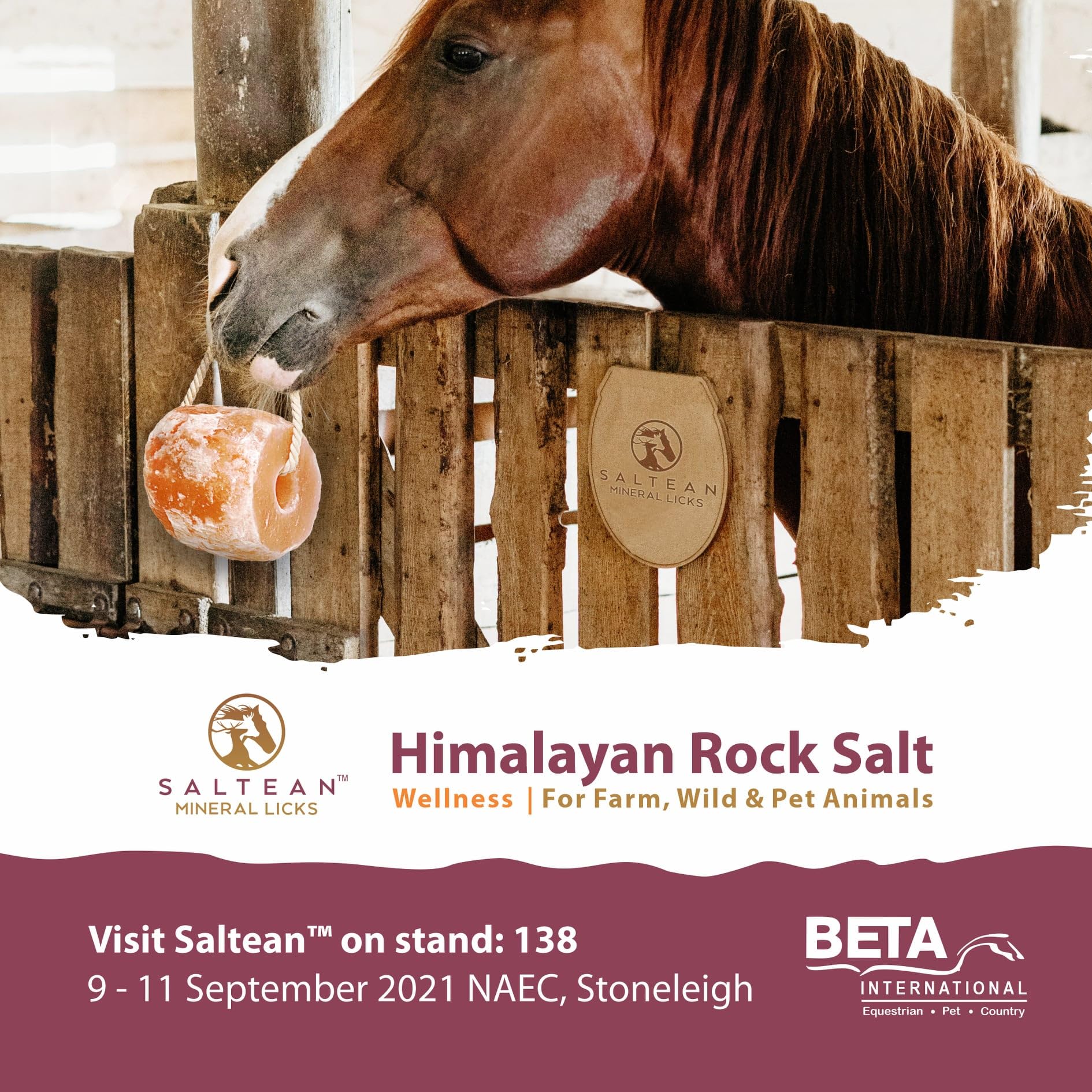 Lot de 4 sachets de sel rose à lécher pour cheval de l'Himalaya | 4 unités dans une boîte | 1 à 1,5 kg