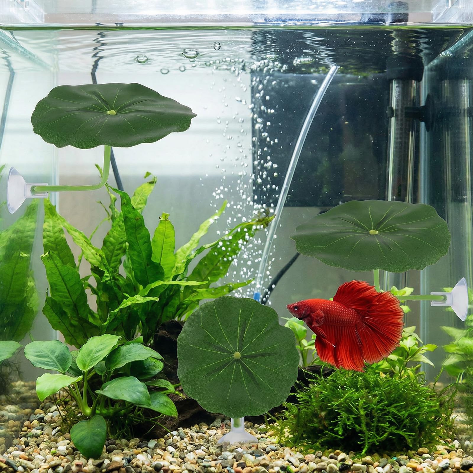 Xinjoduz Pack de 3 accessoires pour aquarium de poisson betta, Hamac en plastique pour aquarium avec coussin en forme de feuille pour décoration d'aquarium, décoration d'aquarium sûre et douce avec