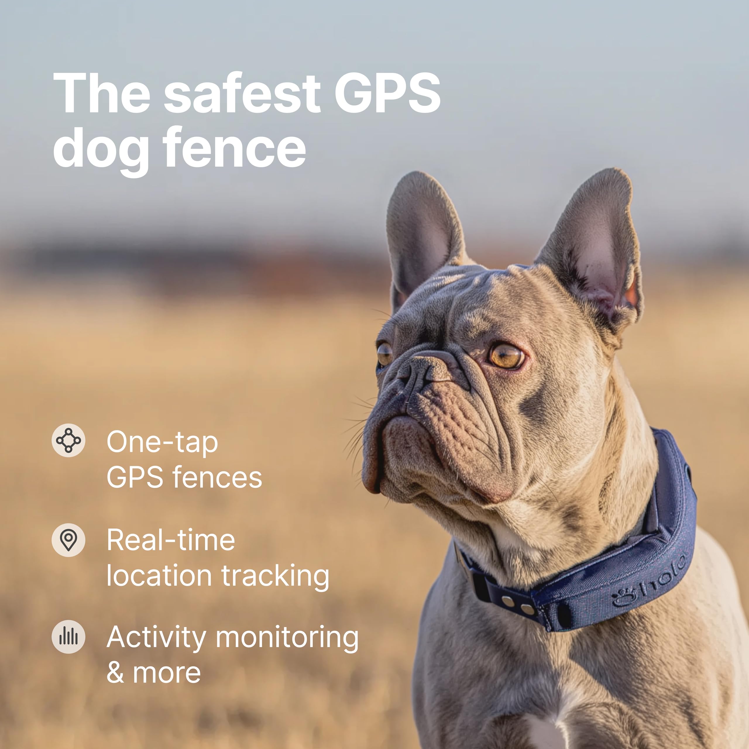 Halo Collar 5 Wireless Dog Fence & GPS Dog Collar, Keep Your Dog Safely Contained Outdoors with App-Controlled Boundaries and Real-Time Tracking, One Size, Midnight - image 2