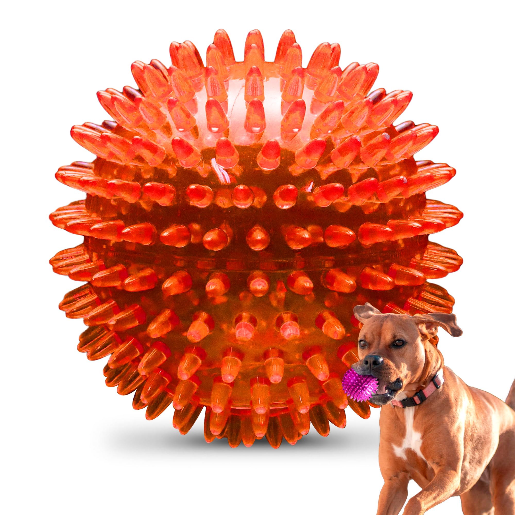 PetSport Gorilla Spiky Ball 5” - Spiky Rubber Dog Ball Toy, Interactive Puppy Toy for Medium and Large Sized Dogs, TPR Rubber, Vanilla Scented - 5 Inch, X-Large