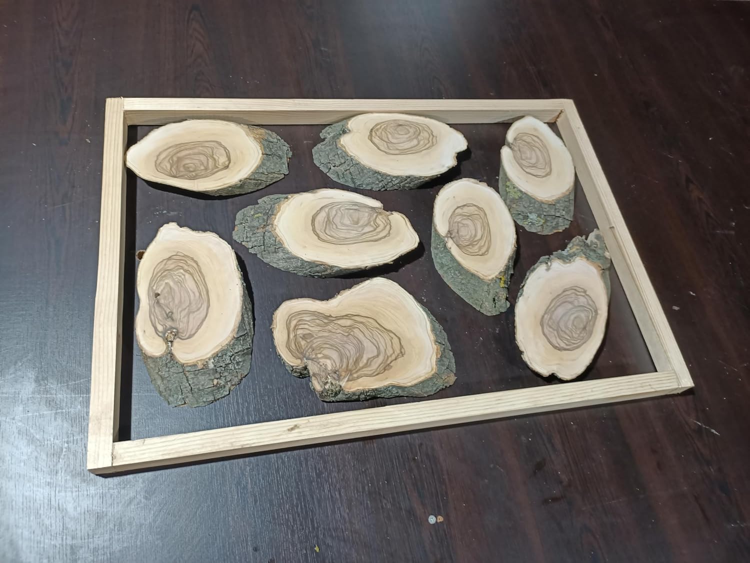 Project Ready Olive Cookies 8 Pieces for 16"x24"