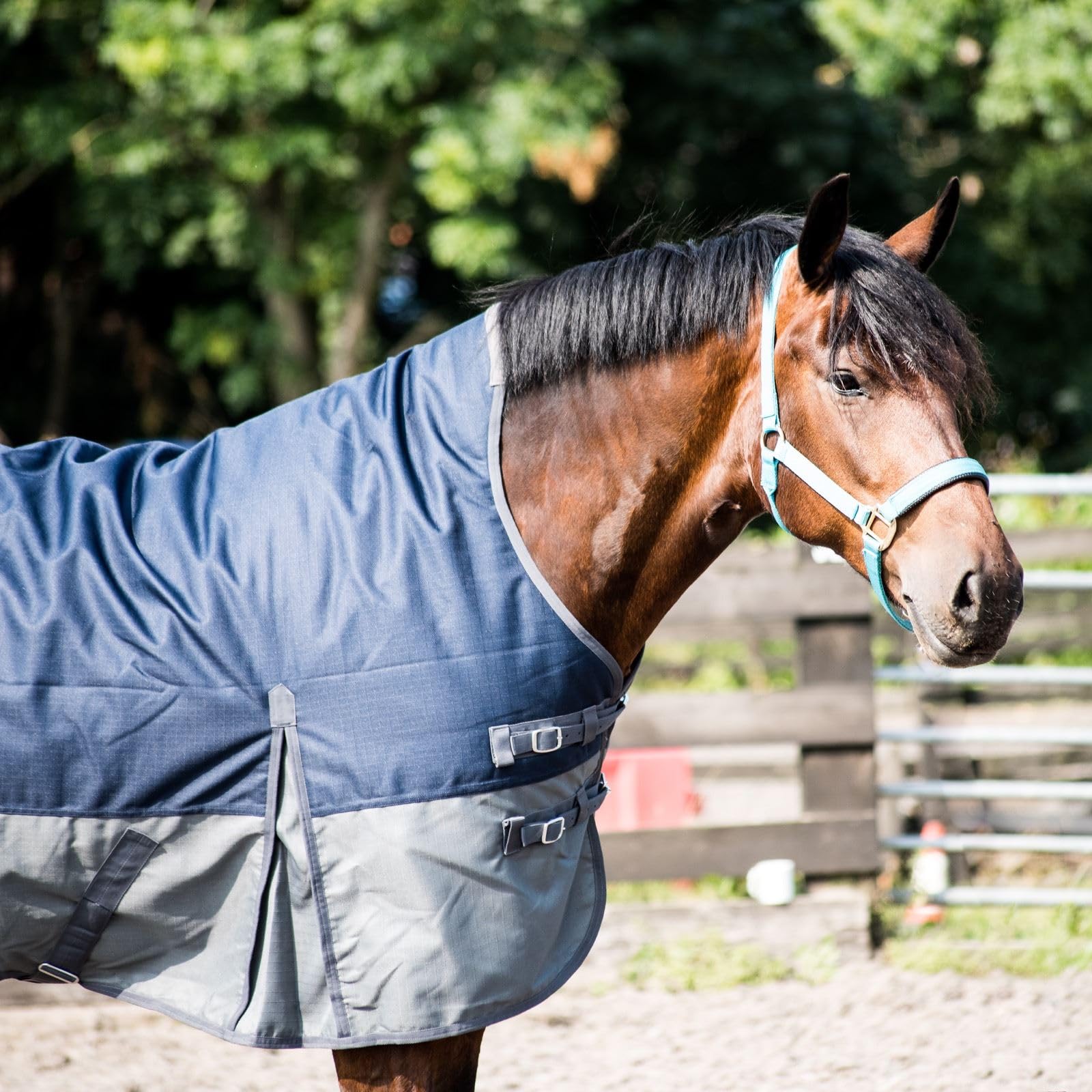 Equitack 600D Regendecke Pferd, 145cm | Highneck Pferdedecke mit Fleece Lining | wasserdichte Outdoordecke Pferd | Navy/Grau
