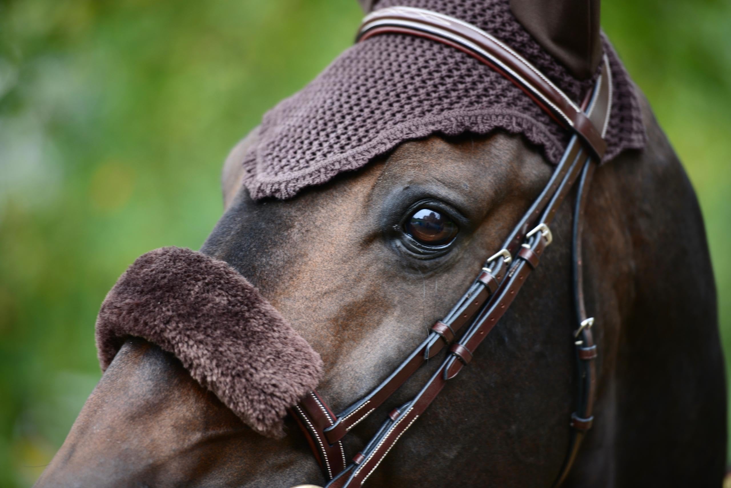 Bonnet Anti-Mouche Cheval - Kentucky Horsewear