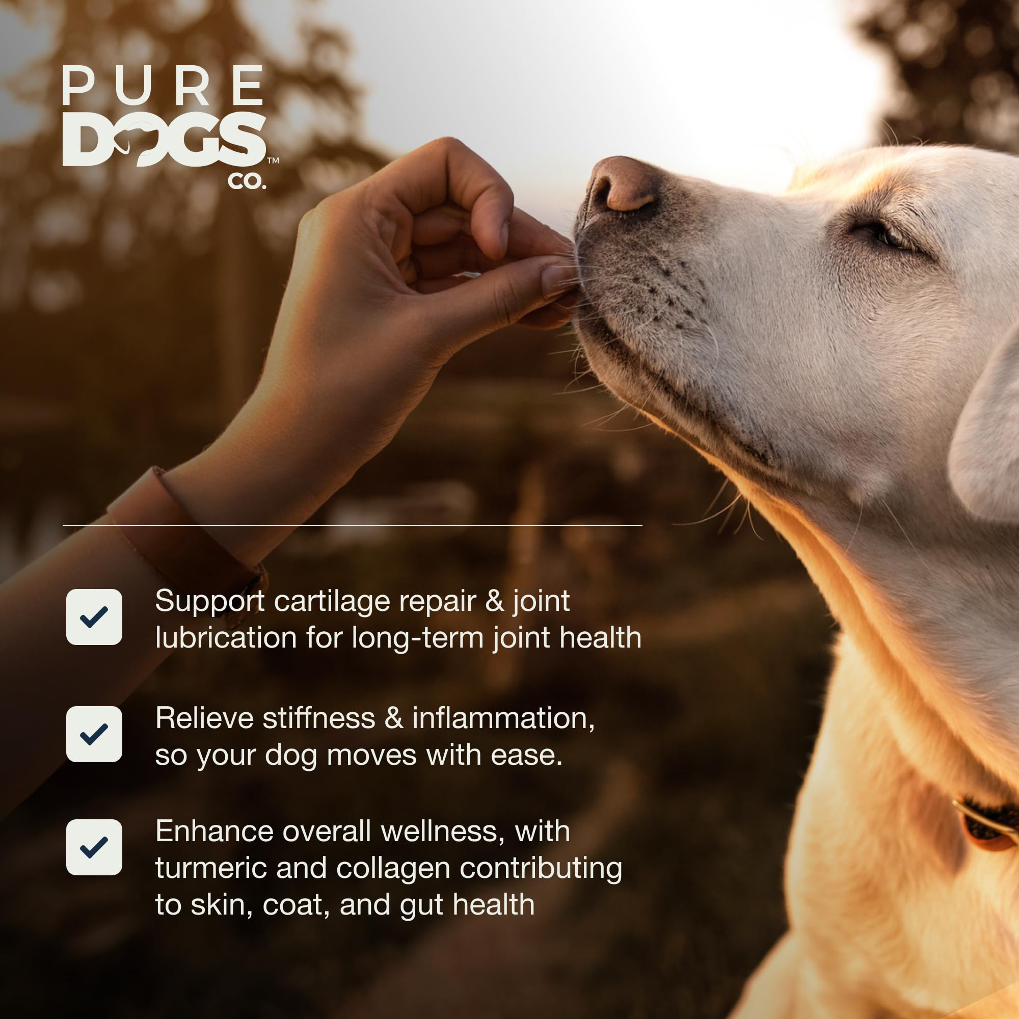 Pure Dogs Hip & Joint Dog Chews - Glucosamine Chondroitin & Green Lipped Mussel for Joint Pain Relief, Function & Mobility, Gut & Digestive Support - for Large & Small Breeds - 90 Chews - image 6