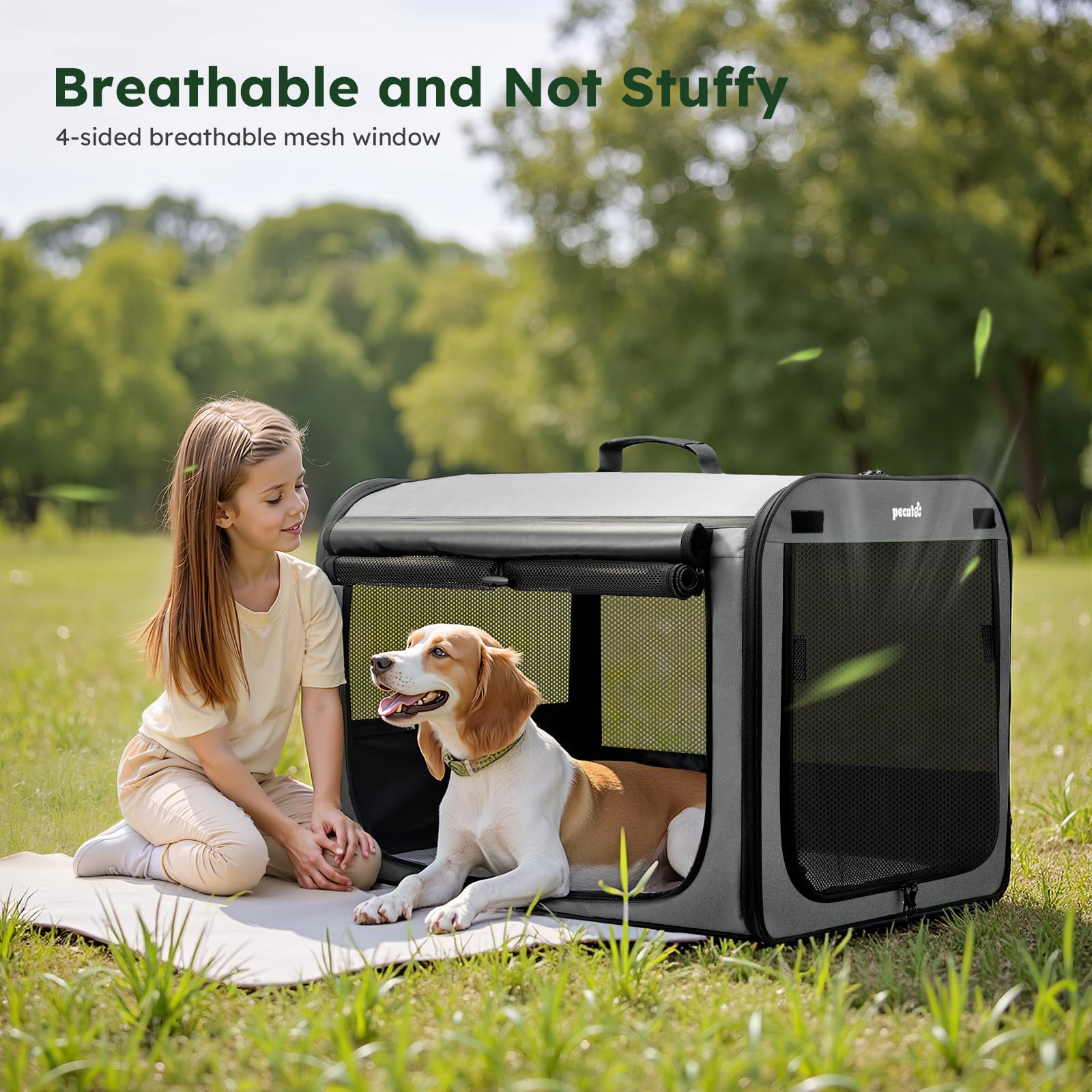 https://m.media-amazon.com/images/I/81rP8Dm1I1L.jpg