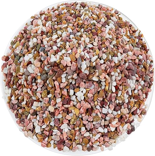 Miniatura 21 de Mezcla de bonsái de 2 libras, mezcla para macetas suculentas, rocas de lava, cactus, suelo, enmienda Onxy blanco