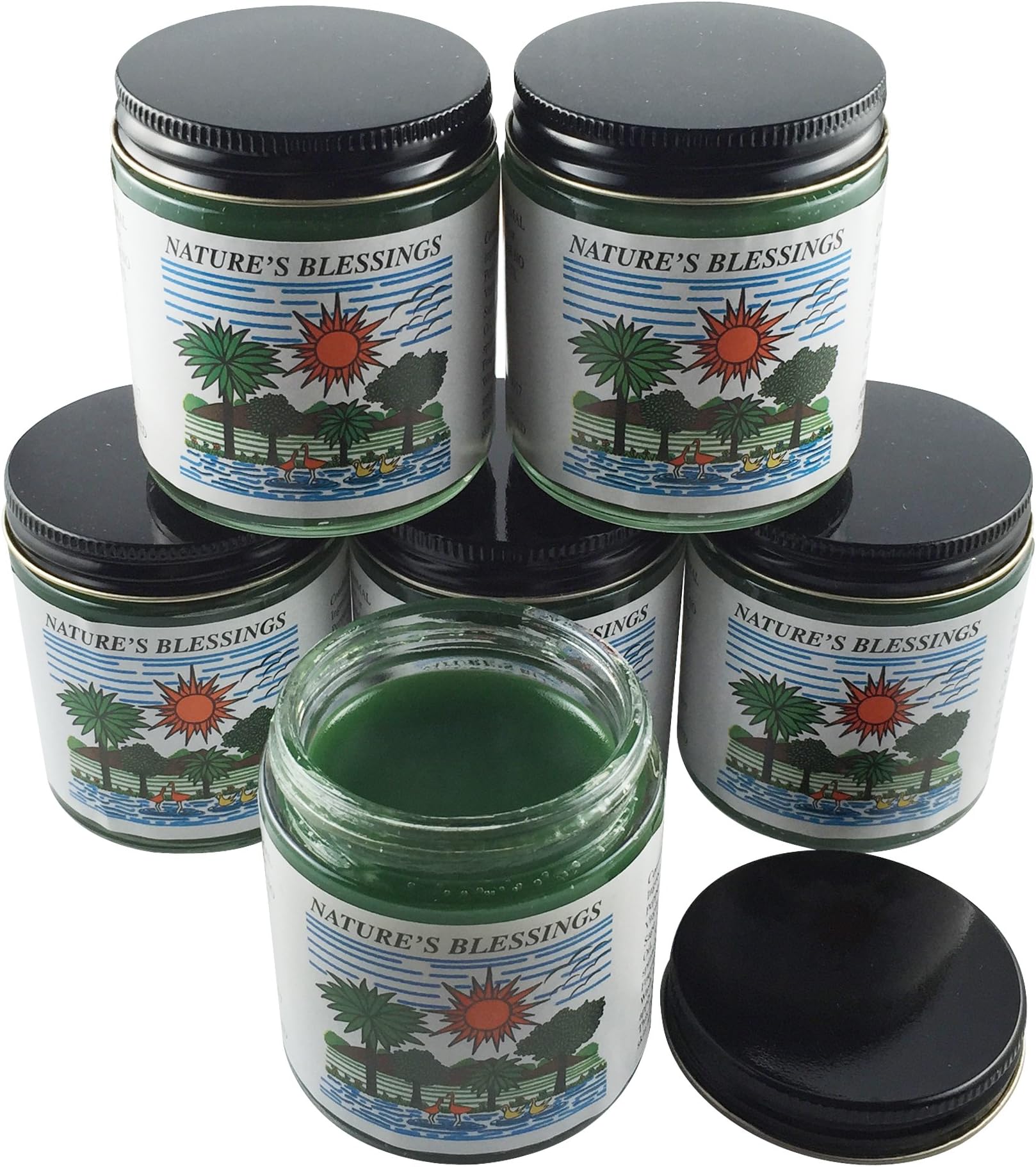 Case of 6 Jars Nature's Blessings Hair Pomade 4 Oz Each by Nature's Blessings