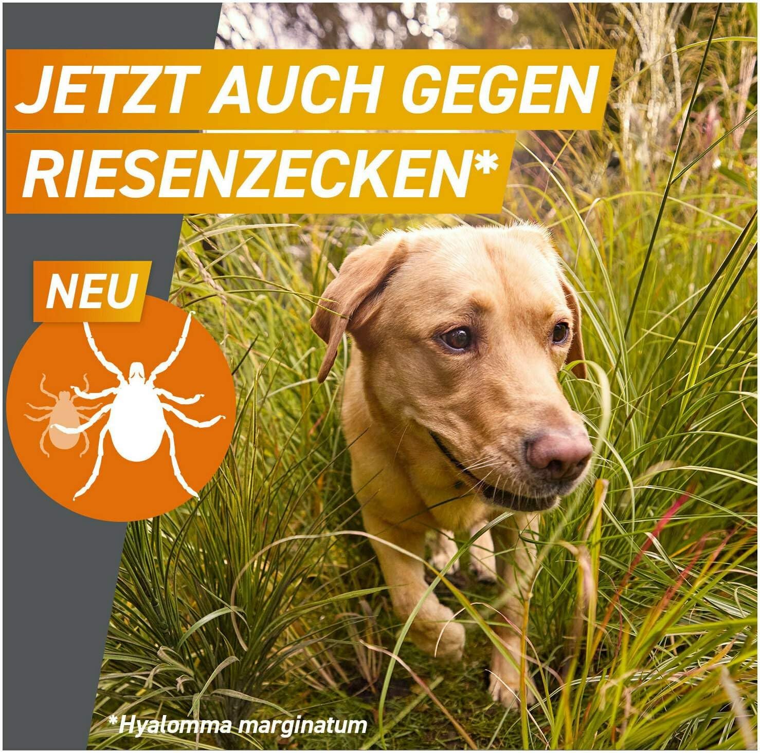Frontpro 68 mg für Hunde 10-25 kg 3 Kautabletten + gratis Fellhandschuh
