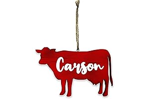 Personalized Pig Ornament for Christmas