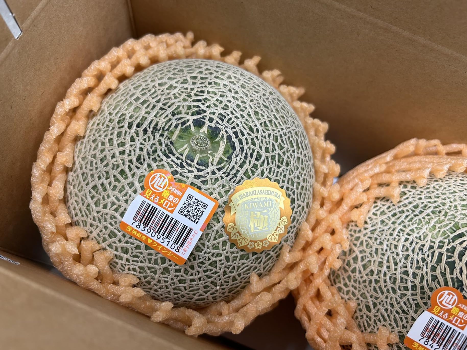 Amazon.co.jp: 糖度18度以上 JA茨城旭村 クインシーメロン 【極特秀