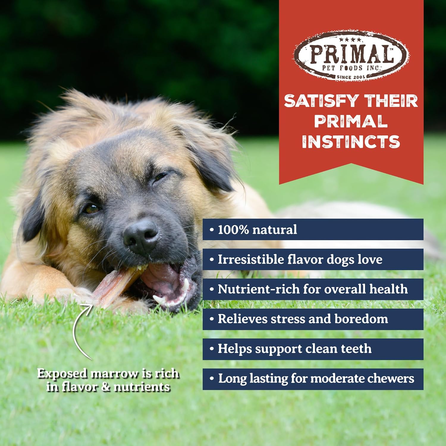 Primal Antlers for Dogs, X-Large Breed Bundle 45–60 lbs. Grade A Split Moose, Stag, & Elk Antlers for Dogs, Natural Long-Lasting Chews, 3 ct