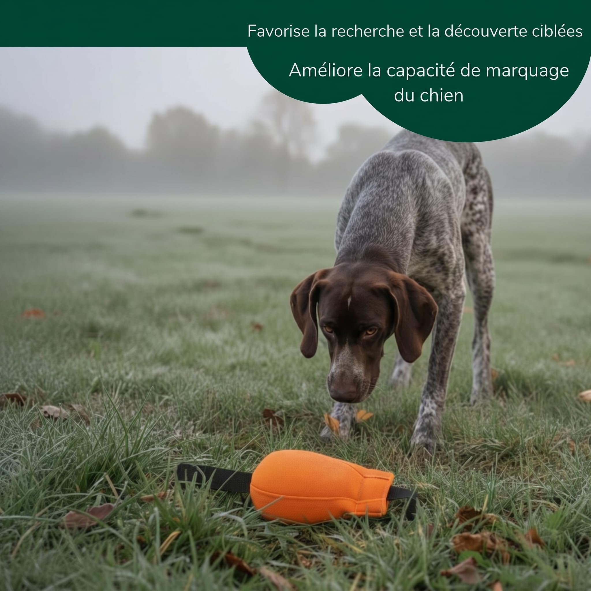Romneys Dummy Ball SpeedUp - 150 g - Avec ruban extra long (orange)
