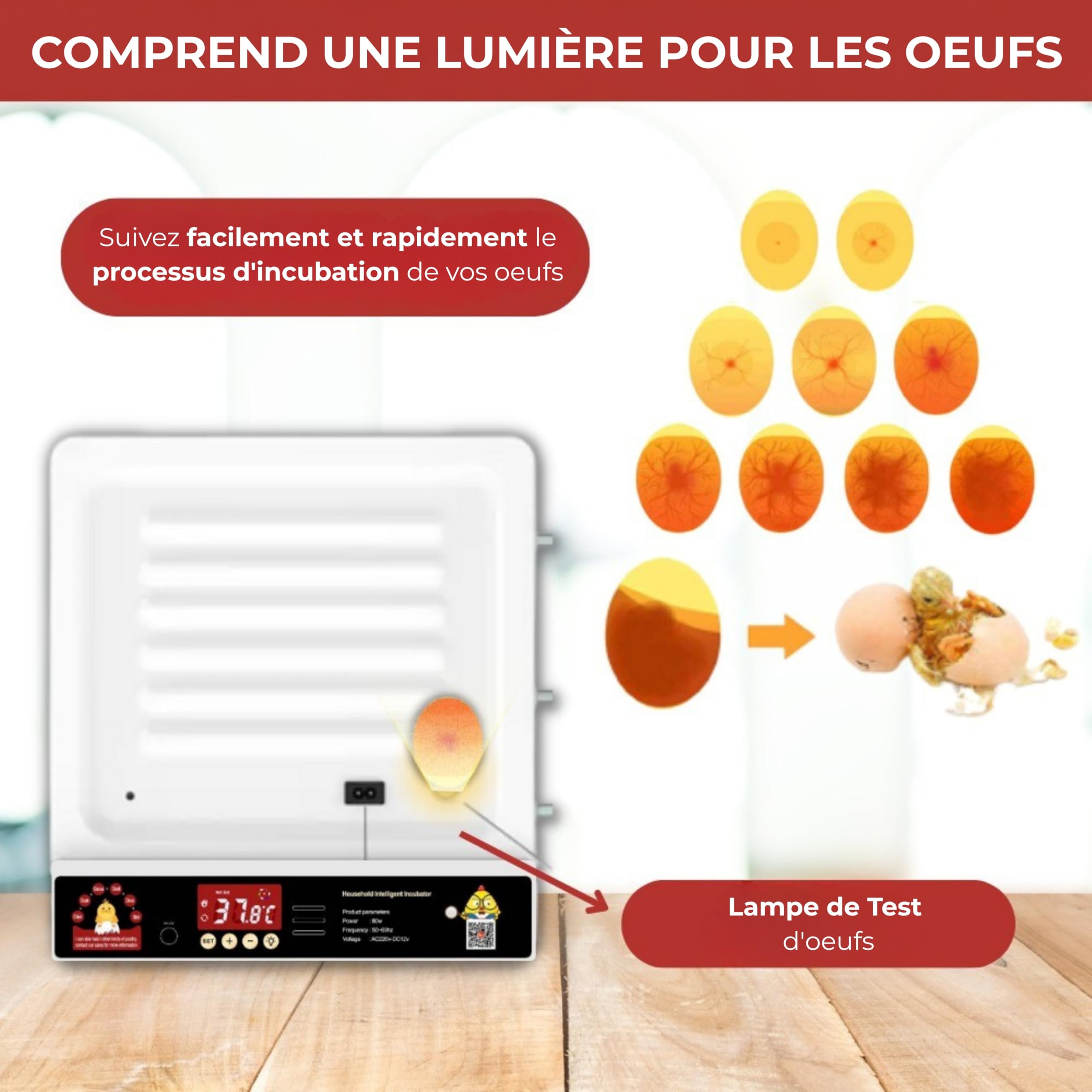 Arcanix Couveuse Oeuf Automatique Professionnelle 30 d'œufs poule ou 75 Œufs de Caille – Incubateur Œuf avec Volteo Rotation Contrôle de Température et Humidité Thermomètre et Hygromètre