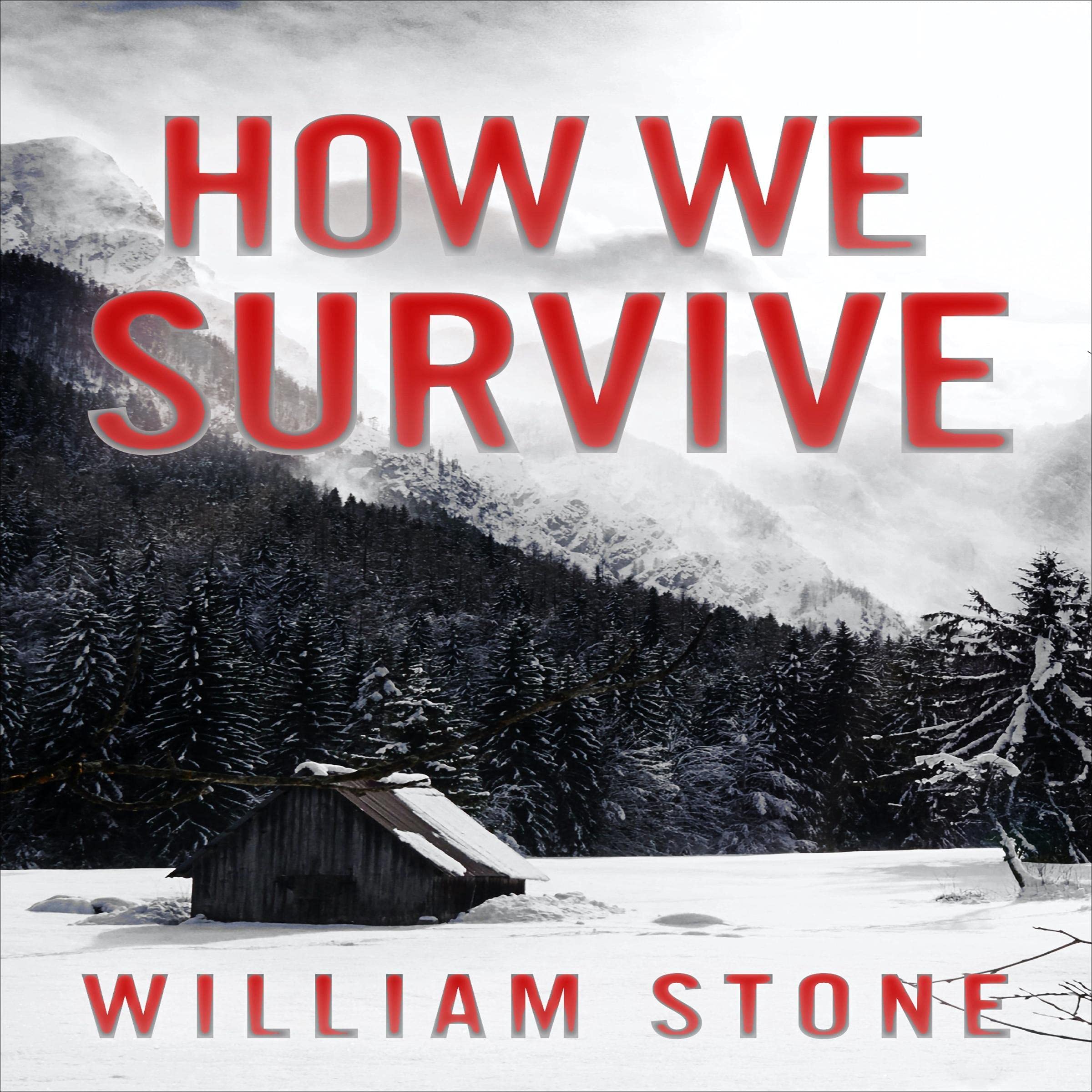 Cover art for How We Survive