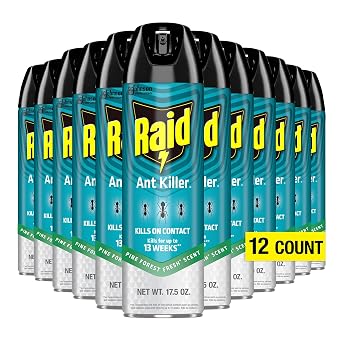 Raid Ant Killer Spray Kills on Contact Pine Forest Fresh Scent Defense System 17.5 Ounce Pack of 12