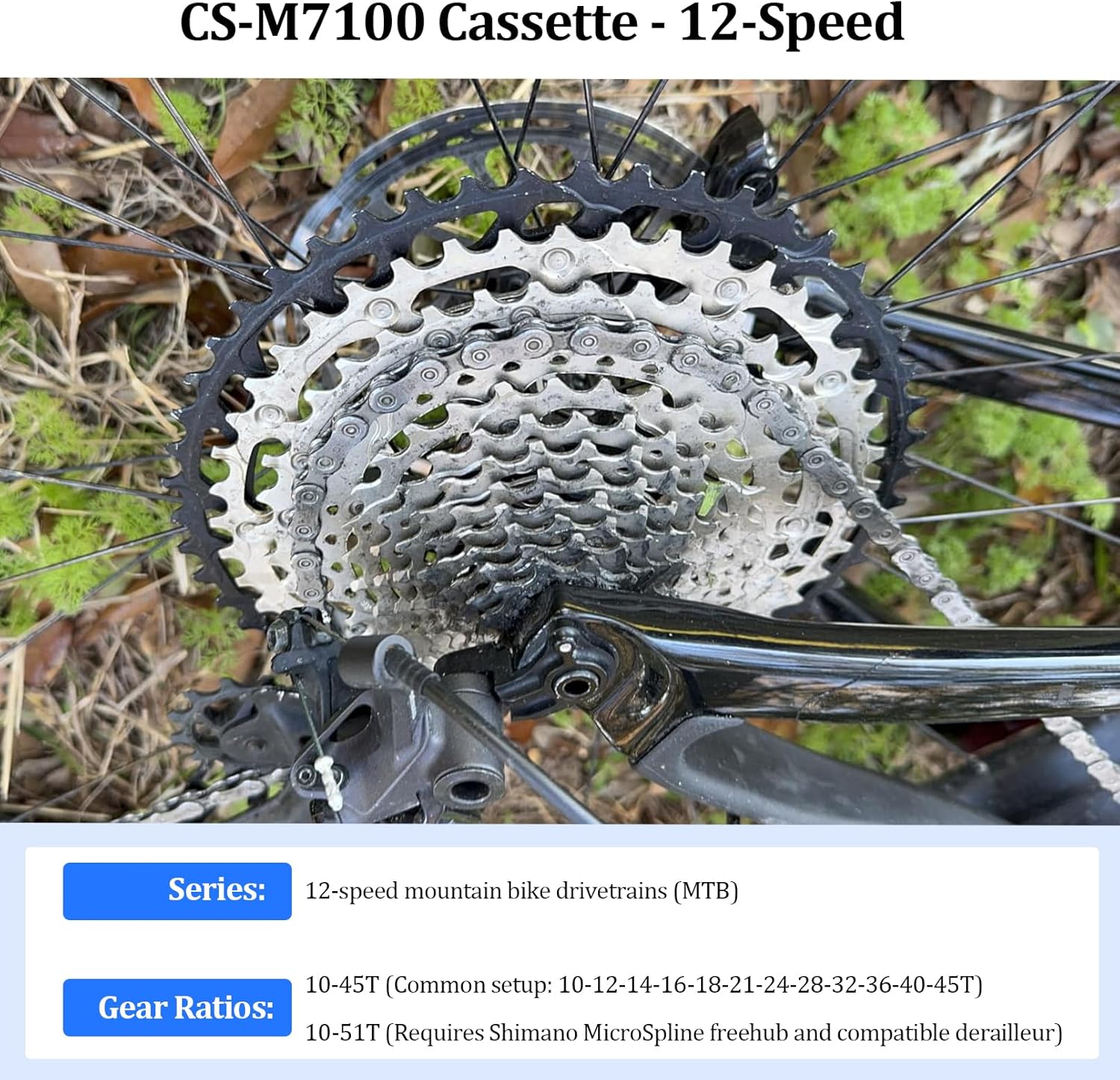 M7100 Cassette - 12-Speed, Silver/Black, Micro Spline for Seamless Compatibility with 12-Speed